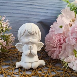 Молди янголи крила пір'я